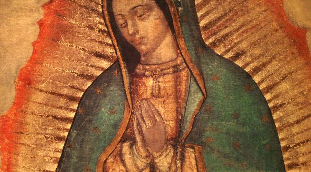 Homilía: Misa por la Virgen de Guadalupe - "Hijo y hermano latinoamericano, sin miedo, canta y camina como lo hizo tu Madre”.