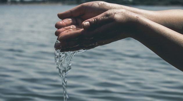 Of every clean animal, take with you seven pairs | Daily Reflection - February 19, 2019