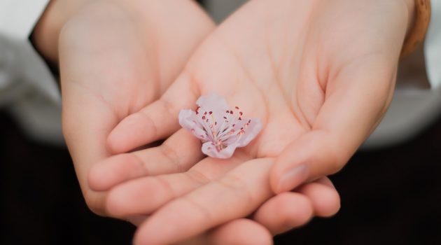 Works of charity | Daily Reflections - March 5, 2019