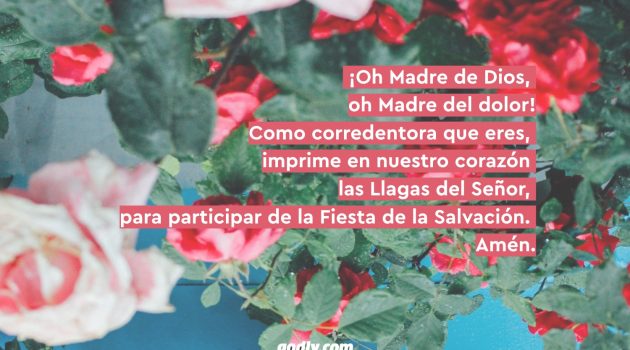 Mayo Mes de María: 30 Rosas a María | 4 Rosa.