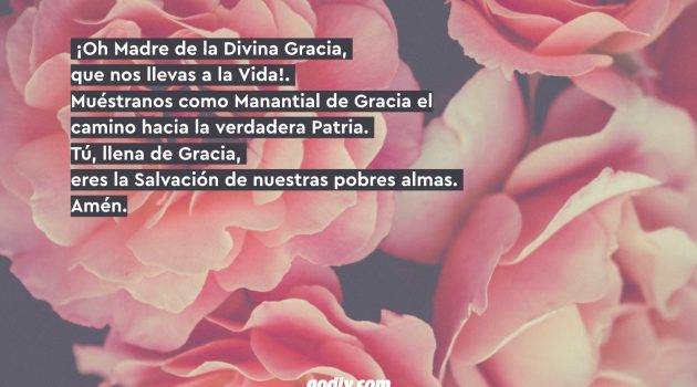 Mayo Mes de María: 30 Rosas a María | 5 Rosa.