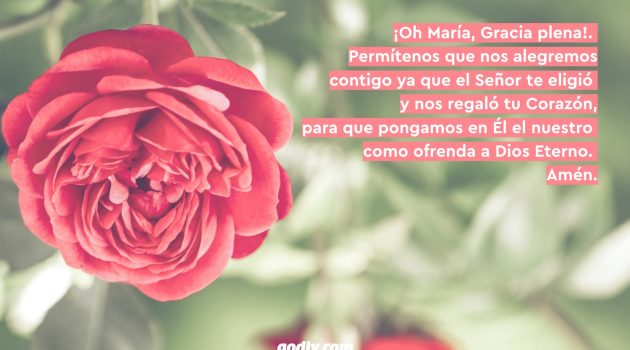 Mayo Mes de María: 30 Rosas a María | 6 Rosa.