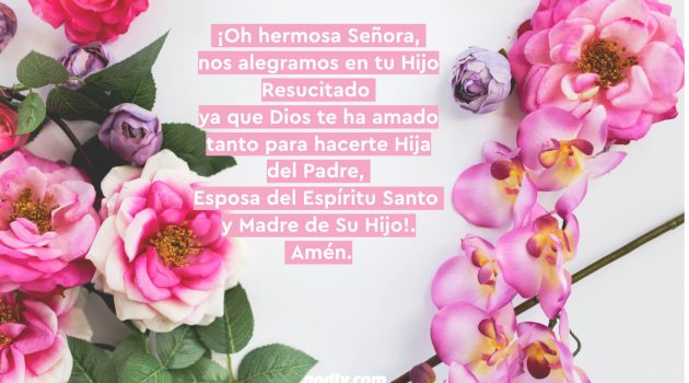 Mayo Mes de María: 30 Rosas a María | 1 Rosa.
