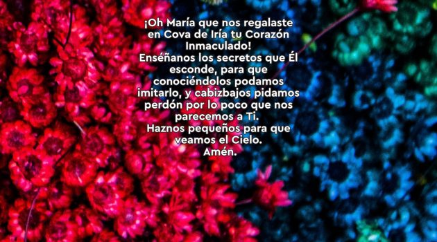 Mayo Mes de María: 30 Rosas a María | 13 Rosa.