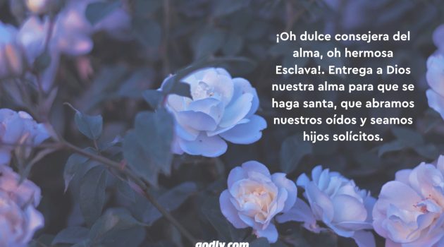 Mayo Mes de María: 30 Rosas a María | 9 Rosa.