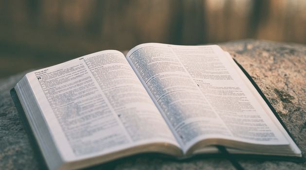 Daily Readings | May 11, 2019