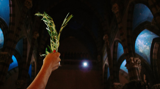 Comentario a la liturgia: Domingo de Ramos - 12 de abril del 2019 "o se quedó ajeno a nuestro dolor sino que nos conforta en la intimidad con su presencia".