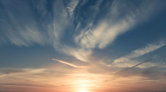 Daily Readings - January 12, 2019