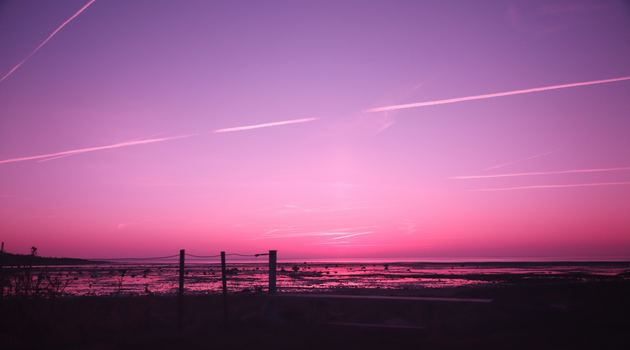 Daily Reflection - December 18, 2018 | He will save his people from their sins