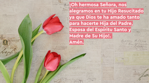 Mayo Mes de María: 30 Rosas a María | 2 Rosa.