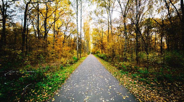 Daily Reflection - December 6, 2018 | The will of my Father in heaven