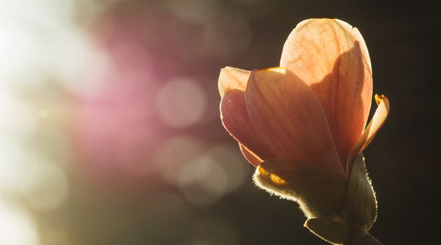 Daily Readings | April 10, 2019