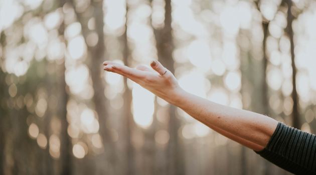 Lecturas del día y reflexión del evangelio: 16 De Enero 2019 - "Él se le acercó, y tomándola de la mano, la levantó".
